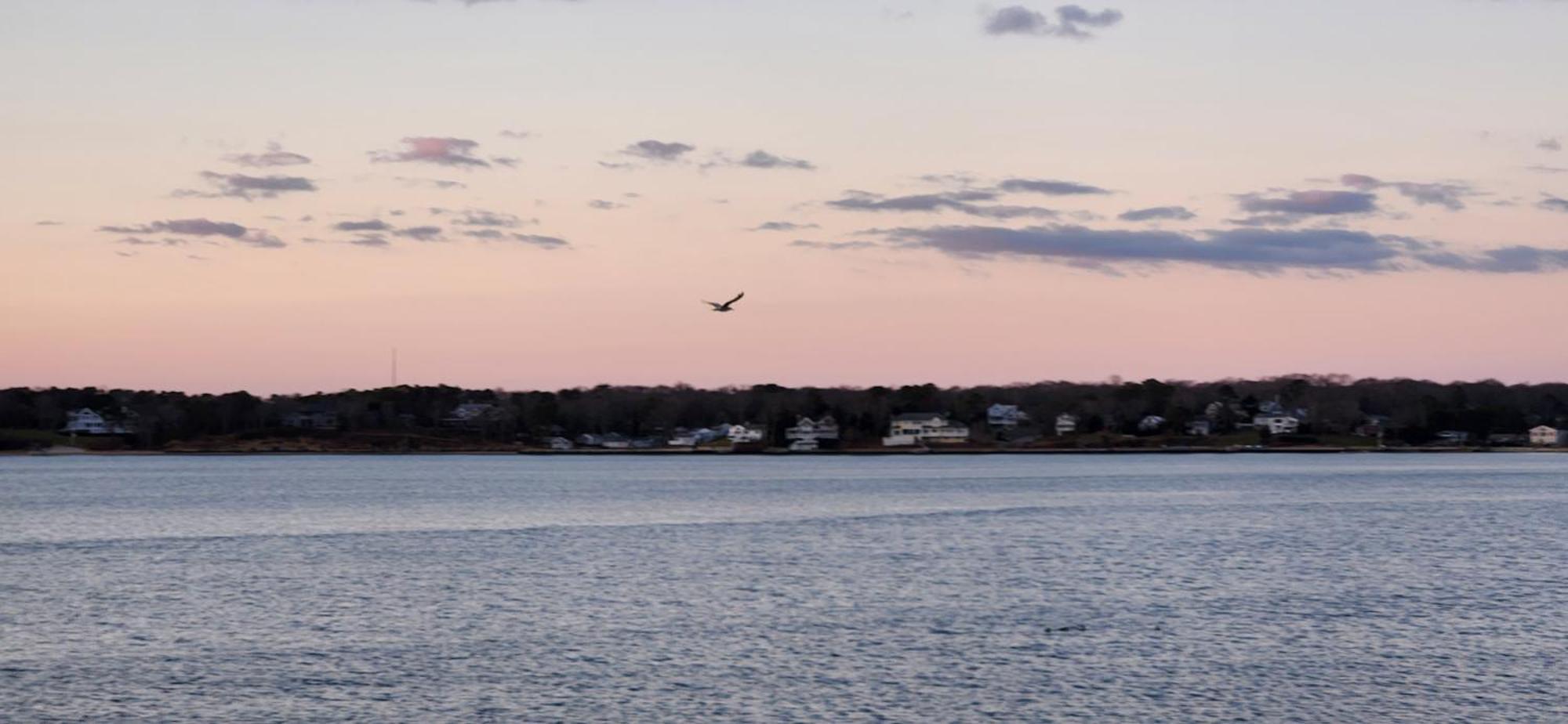 Ocean View Terrace Motel Hampton Bays Ngoại thất bức ảnh