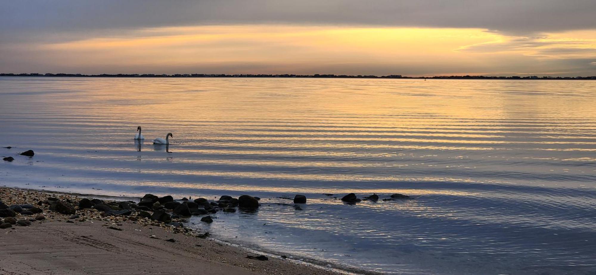 Ocean View Terrace Motel Hampton Bays Ngoại thất bức ảnh